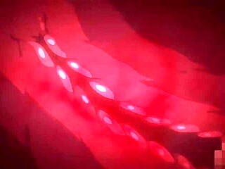 Tender Memory under the shadow inside the dream