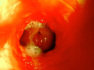 The path into the depths and wet splashes