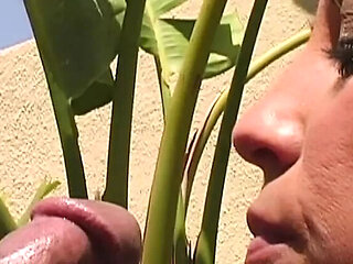 Allysin Chaynes Big Tits Hardcore Adventure with Cumshot and Orgasm