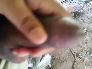 A small black cock