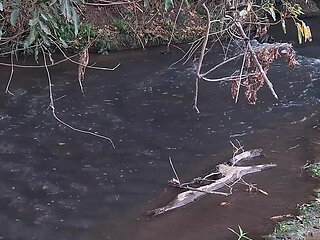 Strangers Are Caught Having Sex at the Waterfall.