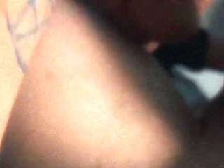 Pocket Pussy Takes All 8 Inches