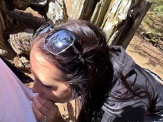 Brunette hookup amateur blowjob and dirtytalk sexdate