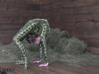 Flexible Spandex Beauty