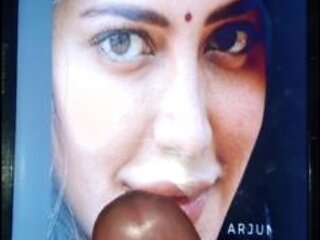 South jndian actress mix cum tribute