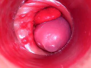Inside a Camgirl Cervix POV Camera in Vagina with Big Dick Toy