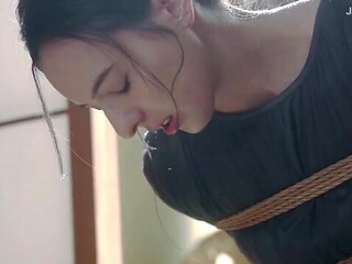 x1x3E33CE23915AE1A6F0