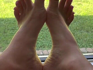 Ivys Feet on the Window