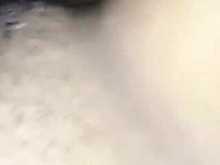 Desi Local Homemade Tight Pussy Sex Video, Desi Local Sex Video