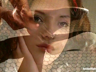 Dreaming of You