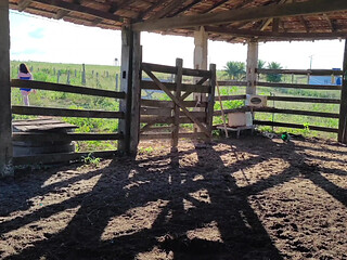 I WENT TO VISIT MY FARM AND ENDED UP HAVING SEX WITH THE COWBOY HE FUCKED ME LIKE A SLUT