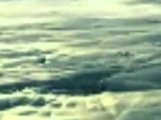 Trailer 485