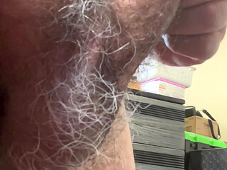 Male Penis and Balls
