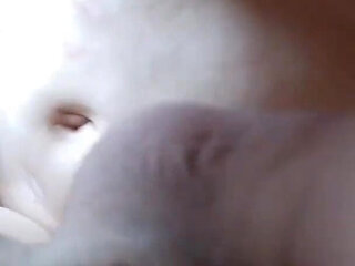 My extra wife at my home and suck my big dick