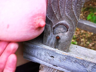 Hard Tit Slapping on the Ladder in the Woods