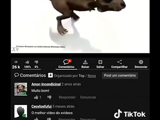 novinho desafia as primas