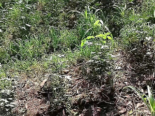 Telugu Aunty Fucks Farm Owner in Outdoor Field - Indian Couple HD