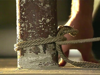 Daisy Duxe between the poles