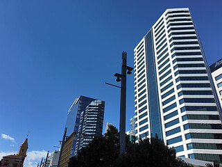 Auckland CBD And A Dildo Fuck In The Shower