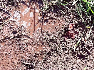 Pissing Pussy in Cold Weather Outside