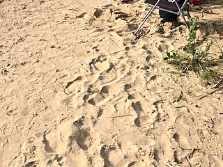Nude Beach, People I Lost Control