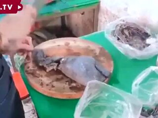 Chinese fuck: Big Tits, Blowjob  Asian Porn