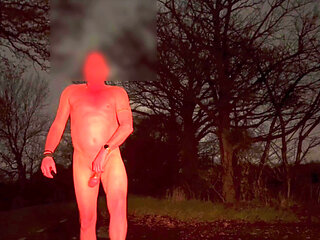Wanking naked when a car passed by