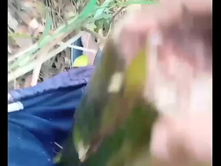 Desi boy masturbation