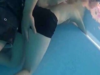 x1x343177E226A1E81696