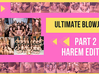 39 Hot Stars - Ultimate Blowjob Harem Edition Part 2 VR Porn Compilation by Privat Jet - PrivateJet