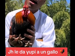 Filtrado: Jh detona a Gallina xD