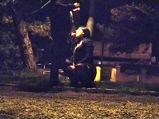 Leashed slut gets public blowjob from huge cock