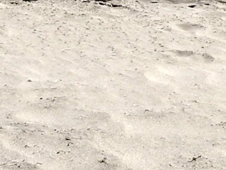 On the Beach Nude