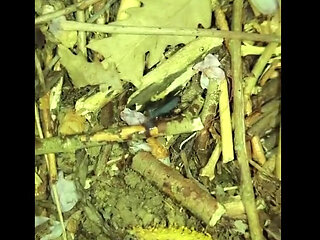 Caught Friend Jerking off Outdoors, Then I Found and Tasted His Cum