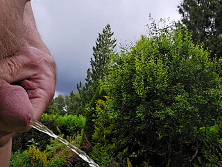 Pissing Again
