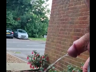 Chubby Gay Guy taking a risky piss outside