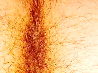 A Butt That Hairy