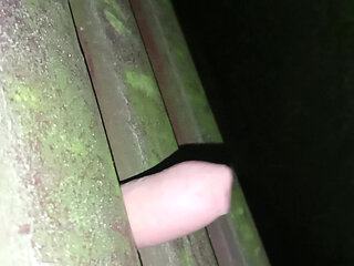 fucking the bank in the Park at night