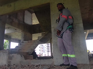 I Took a Toy to Work and Look What I Did