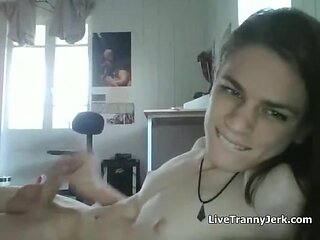 newbie tranny sperm free transsexual cam 2788