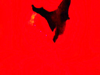 Hhf Threesome with a Subscriber Part 2