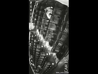 Desi Indian hookup Movie viral mms 2