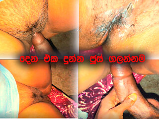 husban and wife fucking video sri lanka