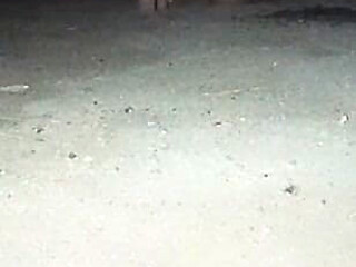 My Wife and I Had Sex in an Abandoned House at Night.