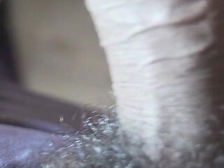 PAWG Dutch Sucking Daddy's BBC