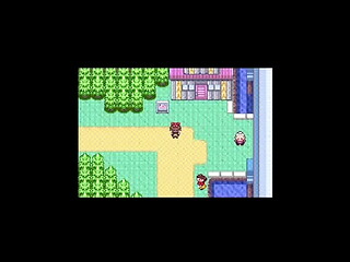 Pok&eacute_mon Dick House Flash Game