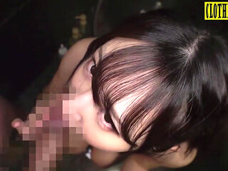 Asian Angel 24912