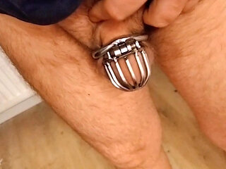 Chastity Cock Cage for Ginger Otter