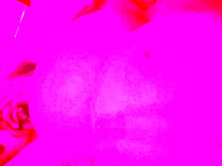 Solo Girl Free Amateur Webcam Porn Video