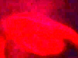 Argentina Petera. the Best Blowjob